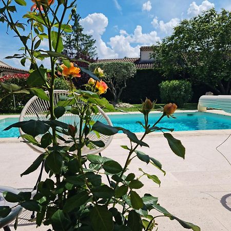 Petit Gite De Provence Mazan Eksteriør bilde
