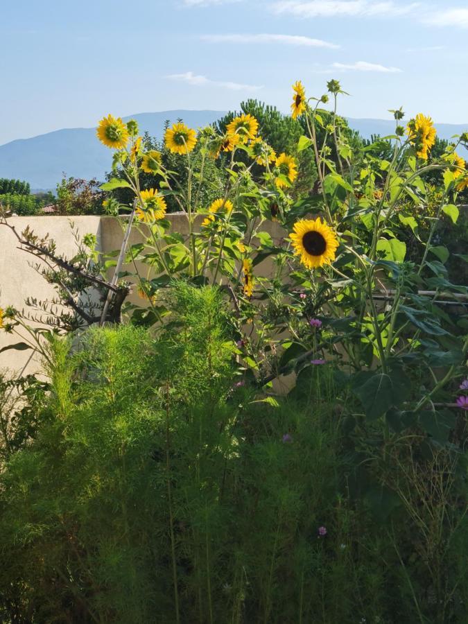 Petit Gite De Provence Mazan Eksteriør bilde