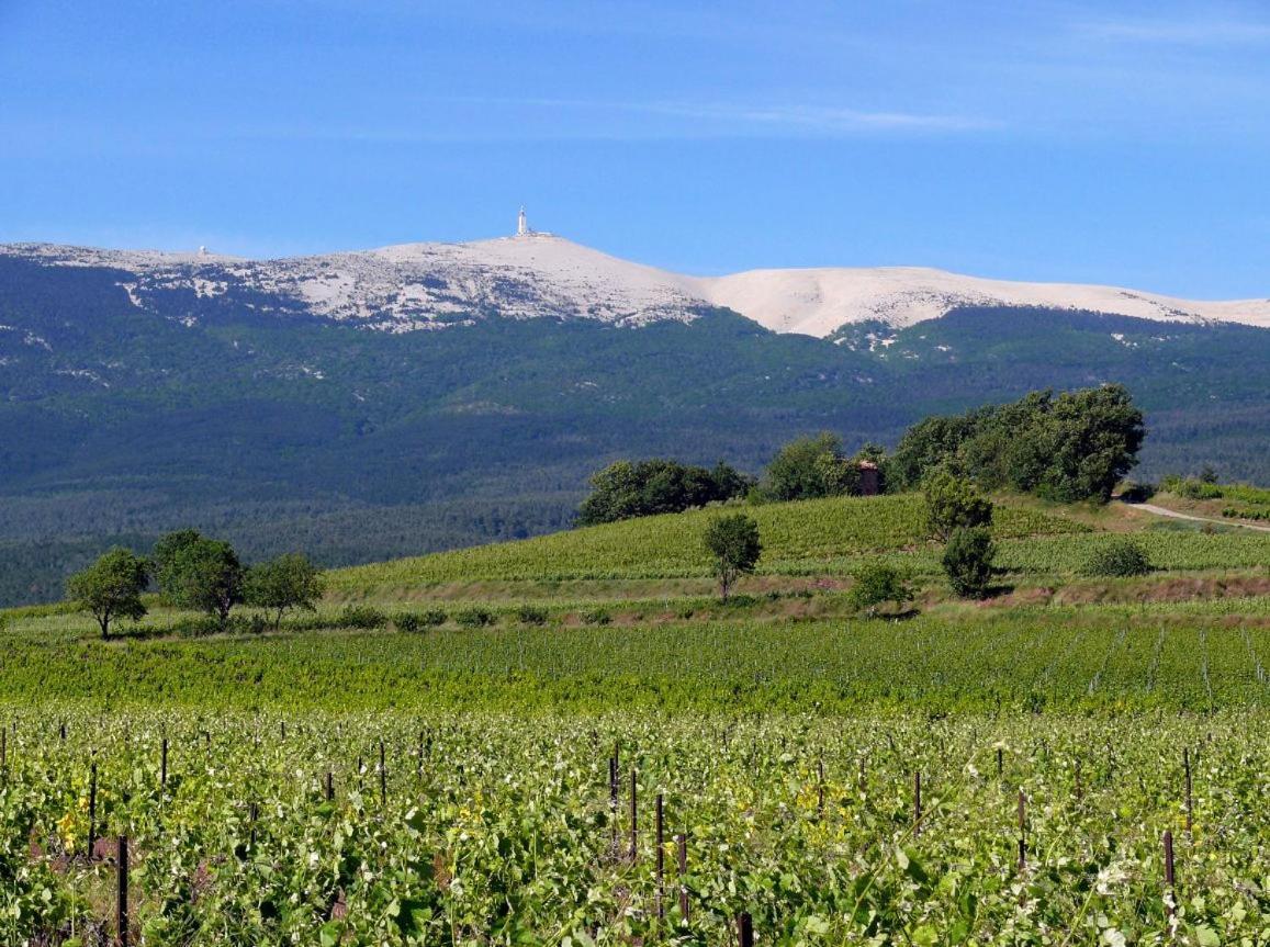 Petit Gite De Provence Mazan Eksteriør bilde
