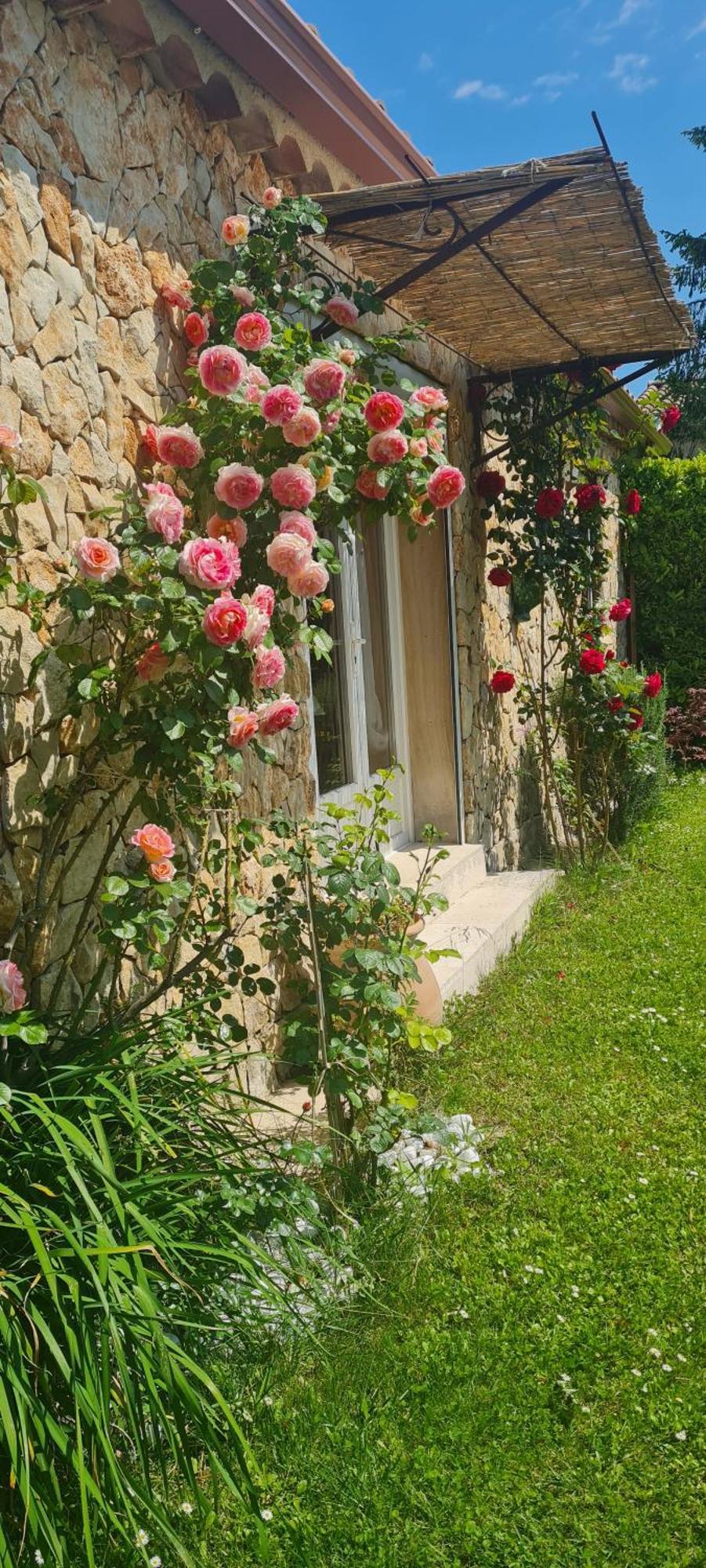 Petit Gite De Provence Mazan Eksteriør bilde