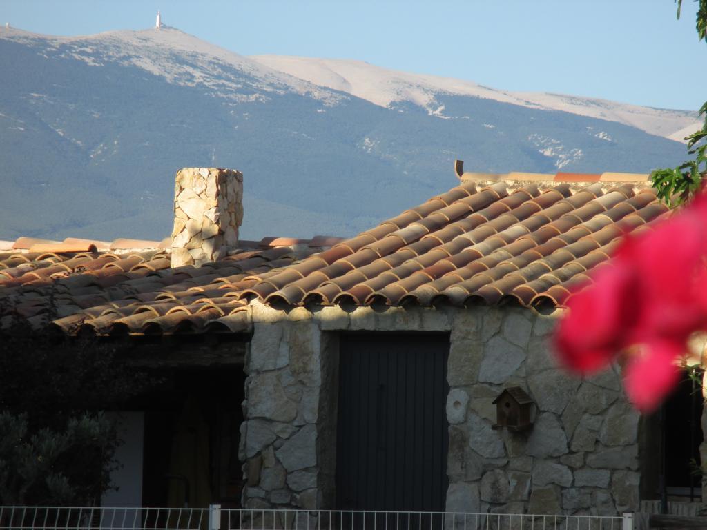 Petit Gite De Provence Mazan Eksteriør bilde